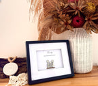 Frame-Family of 3