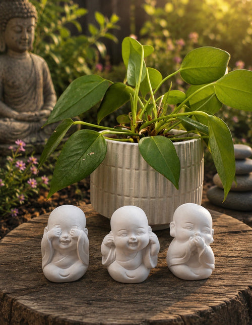 Buddha Set